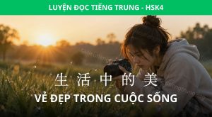 vẻ đẹp trong cuộc sống