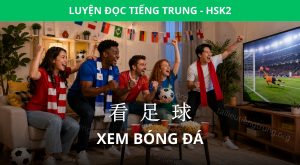 xem bóng đá