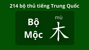 Bộ mộc trong 214 bộ thủ