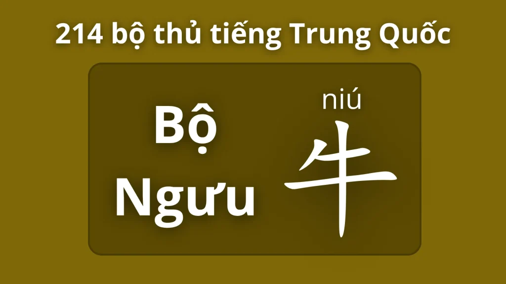 Bộ ngưu trong 214 bộ thủ tiếng Trung