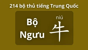 Bộ ngưu trong 214 bộ thủ tiếng Trung