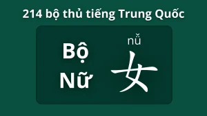 Bộ nữ trong 214 bộ thủ