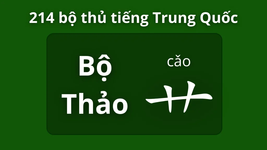 Bộ Thảo 艸 – Ý nghĩa, cách viết và từ vựng liên quan 1 Bộ thảo trong 214 bộ thủ tiếng Trung