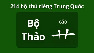 Bộ thảo trong 214 bộ thủ tiếng Trung