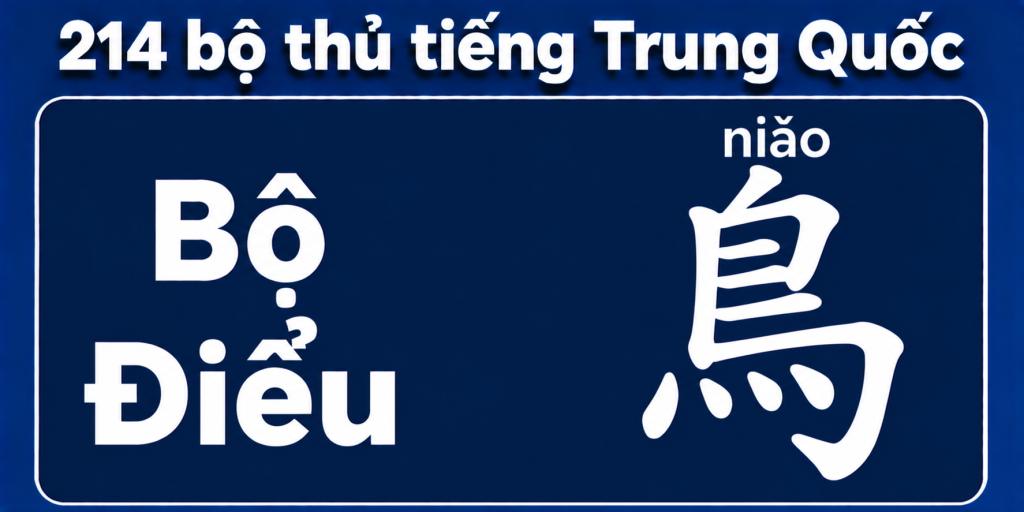 Bộ Điểu trong 214 bộ thủ tiếng Trung