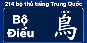 Bộ Điểu trong 214 bộ thủ tiếng Trung