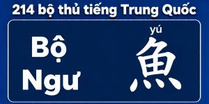 Bộ Ngư trong 214 bộ thủ tiếng Trung