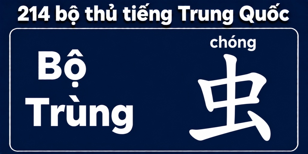 Bộ Trùng 虫 – Ý nghĩa, cách viết và từ vựng liên quan 1 Bộ Trùng trong 214 bộ thủ tiếng Trung