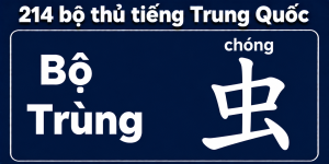 Bộ Trùng trong 214 bộ thủ tiếng Trung