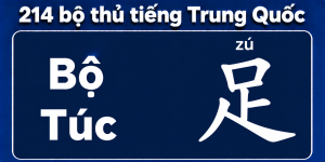 Bộ Túc trong 214 bộ thủ tiếng Trung